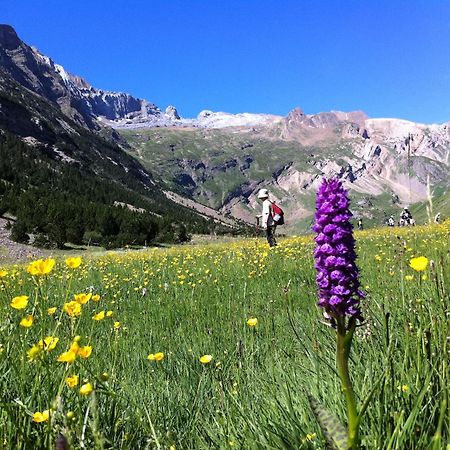 Hostel-Albergue Monte Perdido 톨라 외부 사진